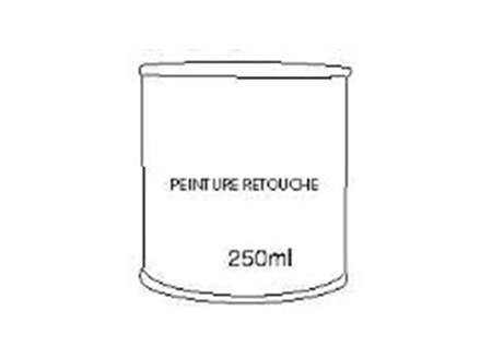 RETOUCHE DE PEINTURE - 250 ML